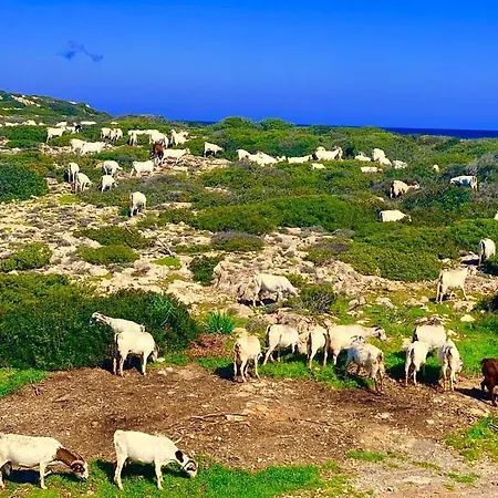 Garden With Directly Entry To The Bay -block N Ap 01 - Tatlisu - North Cyprus * Küçükerenköy