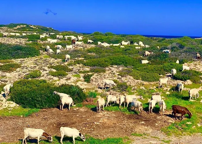Garden With Directly Entry To The Bay -block N Ap 01 - Tatlisu - North Cyprus * Άγιος Νικόλαος
